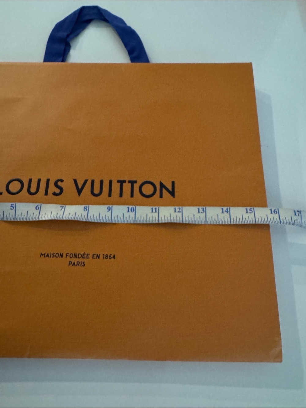 Louis Vuitton Orange Retail Gift Bag with Blue Ribbon Handles